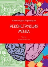 читать РЕКОНСТРУКЦИЯ МОЗГА. Трактат Альфа-Вита Нови