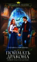 читать Поймать дракона. Новый год в Академии