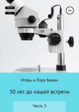 читать 30 лет до нашей встречи. Часть 3