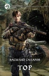 читать Исторические портреты. 1762-1917. Екатерина II — Николай II