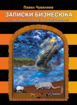 читать Записки бизнесюка