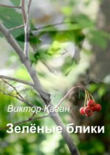 читать Зелёные блики