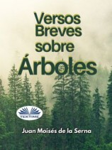 читать Versos Breves Sobre Árboles
