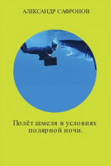 читать Полёт шмеля в условиях полярной ночи. Сборник рассказов