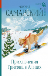 читать Приключения Трисона в Альпах
