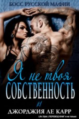 читать Я не твоя собственность