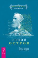 читать Синий остров. Опыт жизни после смерти