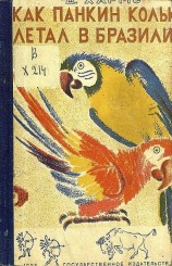 читать О том, как Колька Панкин летал в Бразилию, а Петька Ершов ничему не верил