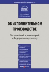 читать Комментарий к Федеральному закону от 2 октября 2007 г.  229-ФЗ «Об исполнительном производстве» (постатейный)