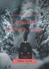 читать Созидаю, борюсь, ищу. Сборник стихов