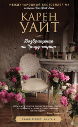 читать Возвращение на Трэдд-стрит