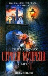 читать Страхи мудреца. Книга 2