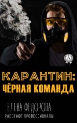 читать Карантин: чёрная команда
