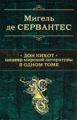 читать Дон Кихот. Шедевр мировой литературы в одном томе