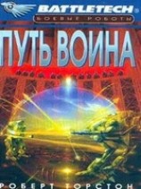 читать Легенда о нефритовом соколе-2: Путь воина