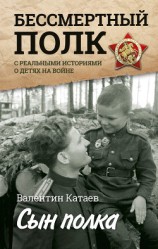 читать Сын полка. Реальные истории о детях на войне (сборник)