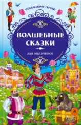 читать Отважному герою. Волшебные сказки для мальчиков