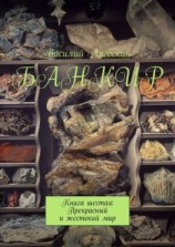 читать Банкир. Книга шестая: Прекрасный и жестокий мир