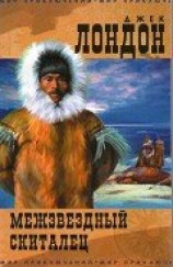 читать Межзвездный скиталец