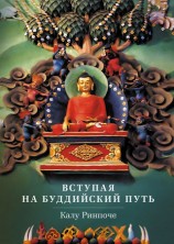 читать Вступая на буддийский путь