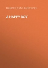 читать A Happy Boy