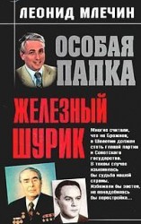 читать Железный Шурик