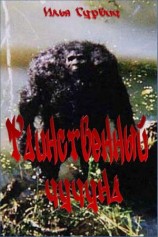 читать Таинственный чучуна