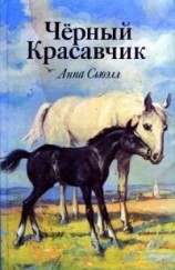 читать Черный Красавчик (с иллюстрациями)