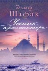 читать Ученик архитектора