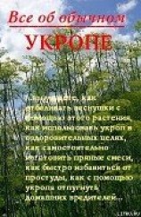 читать Все об обычном укропе