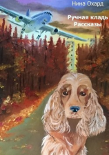 читать Ручная кладь. Рассказы