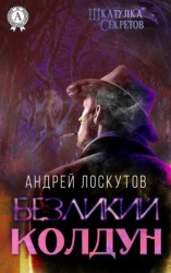 читать Безликий колдун