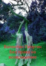 читать Без права на возвращение