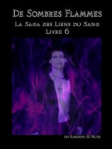 читать De Sombres Flammes