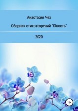 читать Сборник стихотворений «Юность»