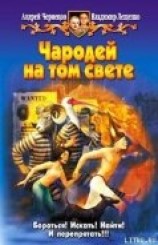 читать Чародей на том свете