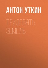 читать Тридевять земель