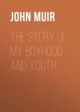 читать The Story of My Boyhood and Youth