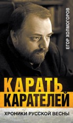 читать Карать карателей. Хроники Русской весны