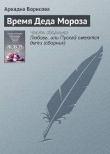 читать Время Деда Мороза