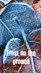 читать Мороз на земле