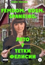 читать Лето у тетки Фелисии