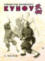 читать Тайный код китайского кунфу