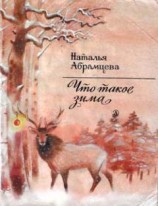 читать Что такое зима