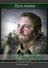 читать Путь пешки 6. Стрекоза