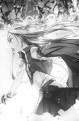 читать Sword Art Online. Ария в беззвездной ночи