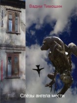 читать Слезы ангела мести