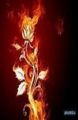 читать Аника