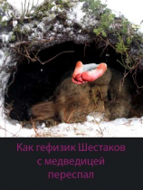 читать Как геофизик Шестаков с медведицей переспал