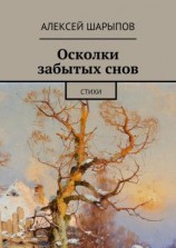читать Осколки забытых снов